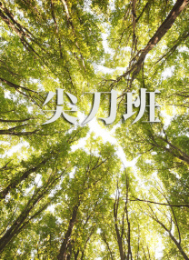 午夜在线视频网站