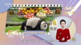 精东 麻豆